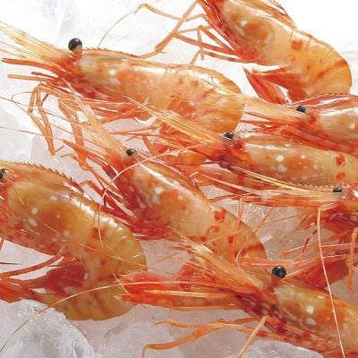 稚内産ぼたん海老500gといくら醤油漬け250gセット