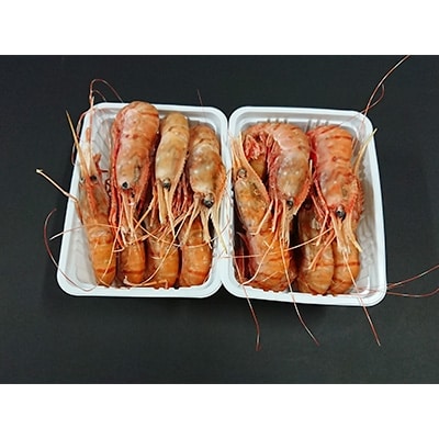 稚内産　ぼたん海老(500g×2)合計1kg　