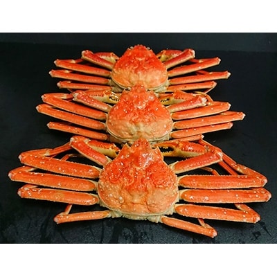 稚内産　本ずわいがに姿　2尾～3尾(1.5kg)