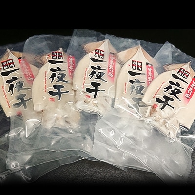 稚内産 するめいか一夜干し　大5枚セット