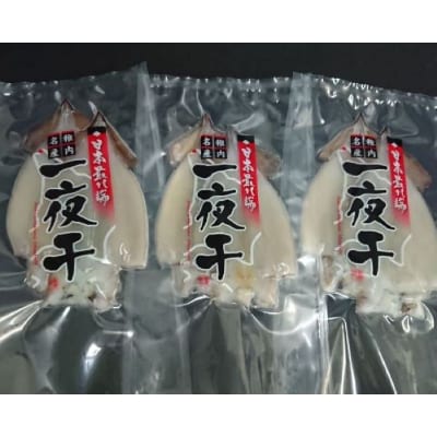 稚内産 するめいか一夜干し 中2枚入×3セット(合計6枚)