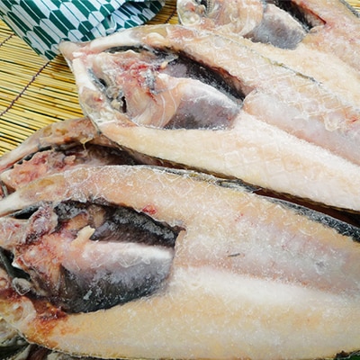 稚内産生冷八角　6枚