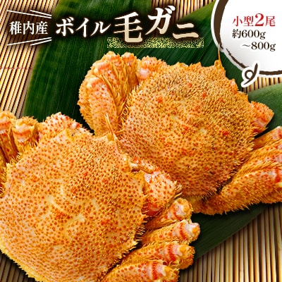 【2025製造】稚内産ボイル毛ガニ小型2尾 (1尾約300g～400gの毛ガニ×2尾)