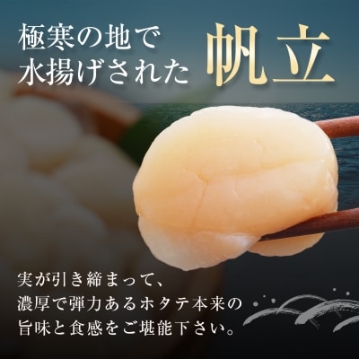 宗谷産 帆立 玉冷 1kg(大中混合) 刺身 海鮮