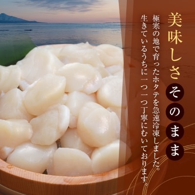 宗谷産 帆立 玉冷 1kg(大中混合) 刺身 海鮮