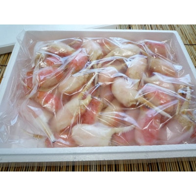 ボイル本ズワイガニ 爪 1kg(約20～50爪入) 海鮮
