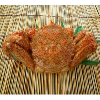 稚内産ボイル毛ガニ1尾(約450g~550g)