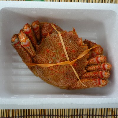 稚内産ボイル毛ガニ1尾(約450g~550g)