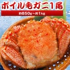 北海道産 毛ガニ 1尾 850g～1kg (ボイル)【2025製造】