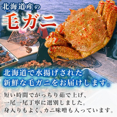 【2025製造】ボイル毛ガニ1尾450g～550g