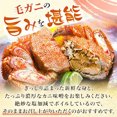 【2025製造】ボイル毛ガニ1尾450g～550g