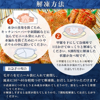 【2025製造】ボイル毛ガニ1尾450g～550g