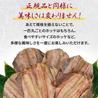 【さとふる限定】おまかせ縞ほっけ干物3.6キロ(サイズ・形不揃い)【稚内市内加工】