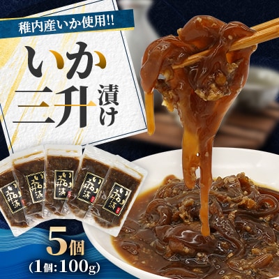 稚内産　いか三升漬け　100g×5個