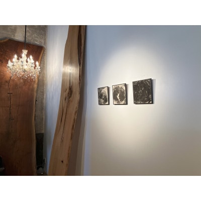 アートパネル【A-rto Y(アールトワイ)】215サイズ(LM-AY-201BK)