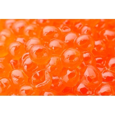 【宗谷海峡産】秋鮭いくら醤油漬け250g 宗谷岬の天然ほたて500g