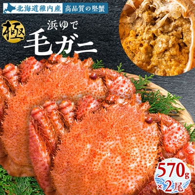 【稚内産・極】  浜ゆで毛ガニ(堅蟹) 570g×2尾  