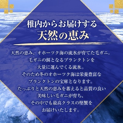 【稚内産・極】  浜ゆで毛ガニ(堅蟹) 570g×2尾  