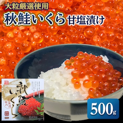 大粒厳選使用　秋鮭いくら 甘塩漬け 500g  海鮮