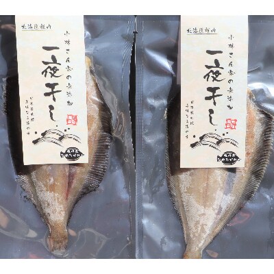 鮮魚店の人気一夜干し詰め合わせ【松】