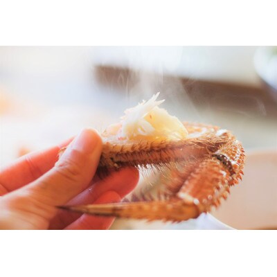 【稚内産】 浜ゆで毛ガニ 400g～500g×2尾(堅蟹)