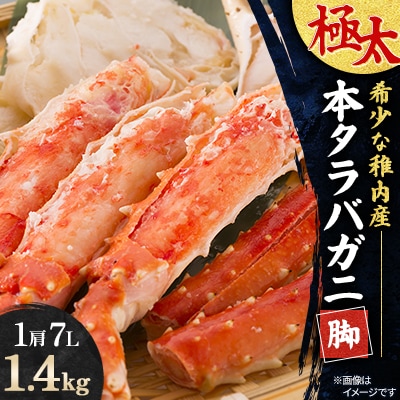 【希少な稚内産】極太”本タラバガニ脚1肩”7L1.4kg