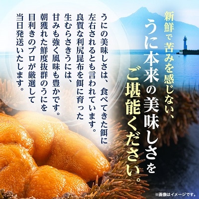 【厳選PREMIUM】美味しいウニは昆布の名産地にあり!生むらさきうに240g