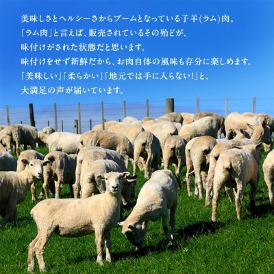 稚内の肉職人 たかみさんの熟成生ラム肉ロース厚切り(500g×2)