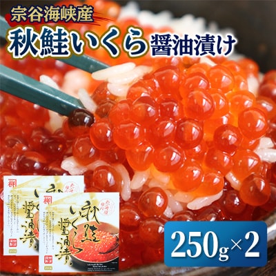 【宗谷海峡産】秋鮭いくら醤油漬け250g×2