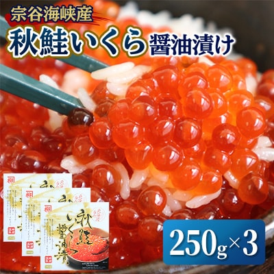 【宗谷海峡産】秋鮭いくら醤油漬け250g×3