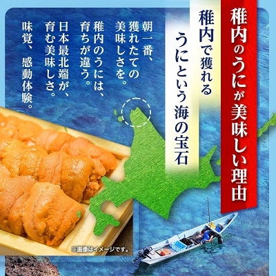 【厳選PREMIUM】美味しいウニは昆布の名産地にあり!生むらさきうに　120g×3(360g)