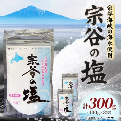 【天然ブランド塩】宗谷の塩100g×3袋