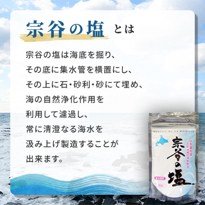 【天然ブランド塩】宗谷の塩100g×4袋