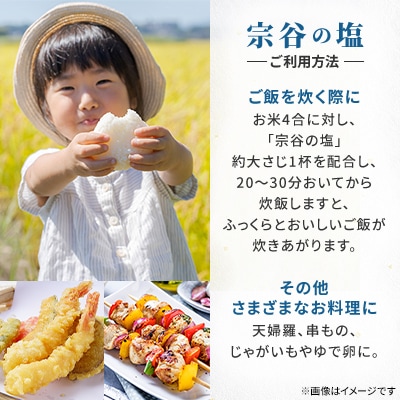 【天然ブランド塩】宗谷の塩250g×1袋