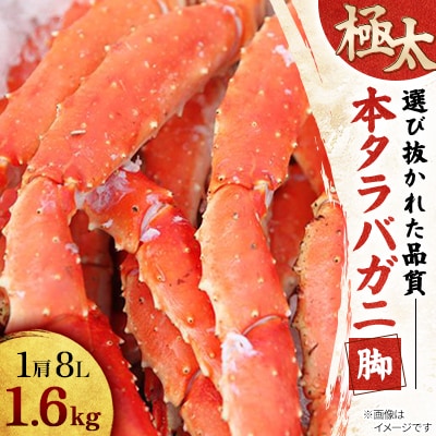 極太本タラバガニ脚1肩8L1.6kg