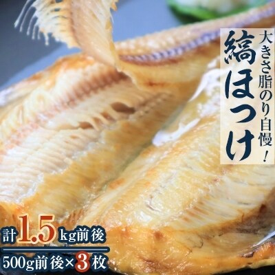 2022年10月発送開始『定期便』大きさ脂のり自慢!縞ほっけ3枚・沖漬け真いか一本漬け3本 全2回