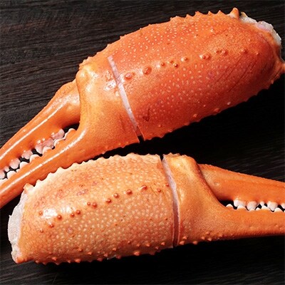 稚内産・稚内加工の紅ズワイガニハサミ爪 大【約1kg】解凍するだけ&殻に切込み入り