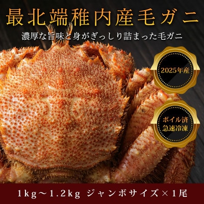 【ボイル済み急速冷凍】身がパンパンに詰まった稚内産毛ガニ 1尾1kg～1.2kgもあるジャンボサイズ
