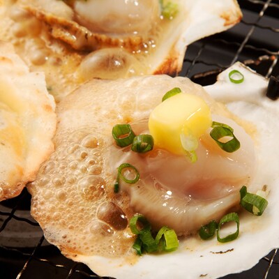 【焼き貝用】2022年産 宗谷産ホタテ貝 片貝付き24枚前後(約800g×3袋)