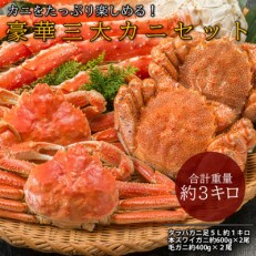 豪華三大カニ(タラバガニ足1キロ・本ズワイガニ2尾・毛ガニ2尾)セット　総重量約3kg | ふるさと納税のお礼品