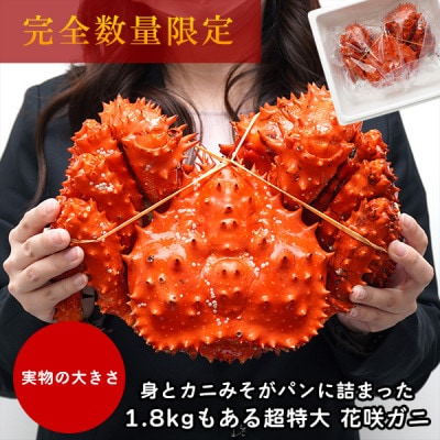 【稚内で浜ゆで】超大サイズ 花咲ガニ姿造り1.8キロ前後×1尾　数量限定50尾限り