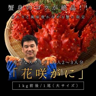【稚内で浜ゆで】カニのプロが茹で上げた 身入りパンパンの花咲ガニ姿造り1キロ前後×1尾　数量限定