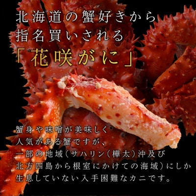 【稚内で浜ゆで】カニのプロが茹で上げた 身入りパンパンの花咲ガニ姿造り1キロ前後×1尾　数量限定