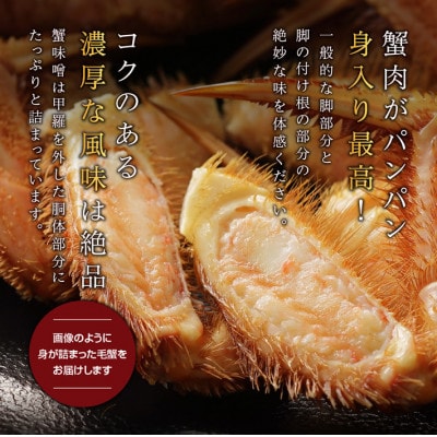 【ボイル済み急速冷凍】身がぎっしりと詰まった毛ガニ650～700g×1尾