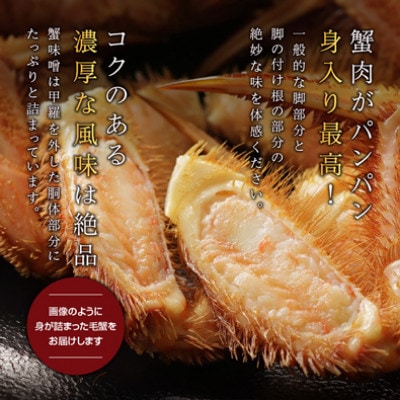 【ボイル済み急速冷凍】身がパンパンに詰まった稚内産毛ガニ800g～1kg(超大サイズ)×1尾