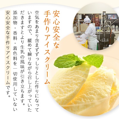 【業務用】稚内牛乳アイスクリーム2000mlバニラ×チョコ2個セット