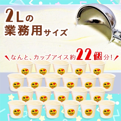 【業務用】稚内牛乳アイスクリーム2000mlバニラ×チョコ2個セット