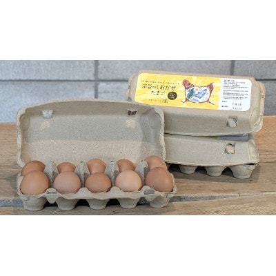 宗谷のしおかぜたまご30個