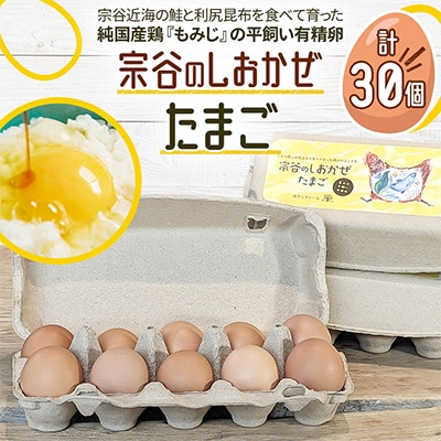宗谷のしおかぜたまご30個