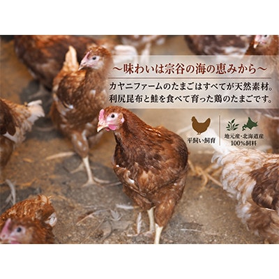 薪窯キッシュと平飼いエッグタルトの6個セット